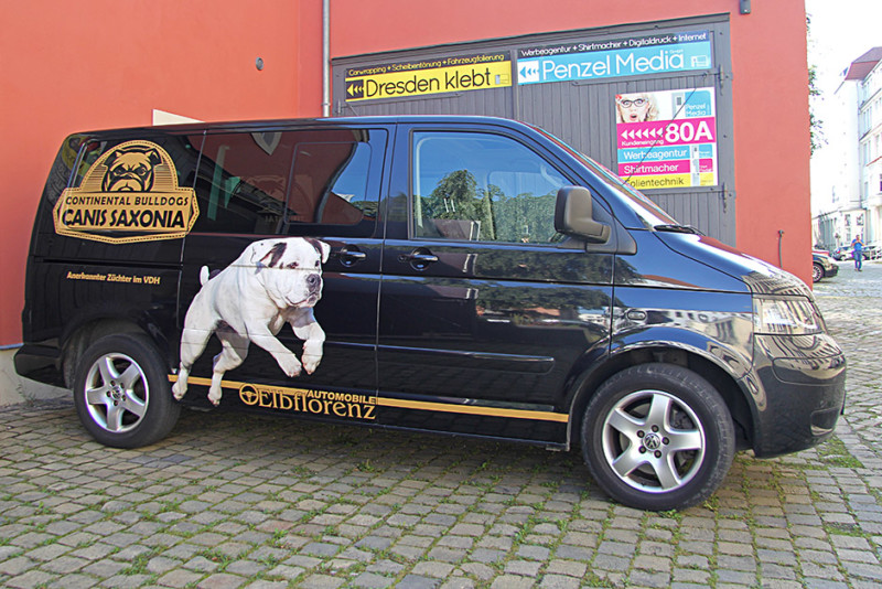VW-Transporter - Designfolierung